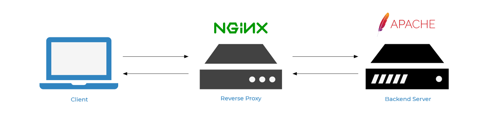 Nginx As A Reverse Proxy
