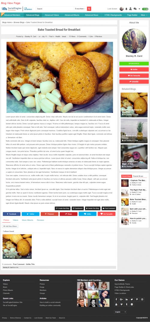 Blog View Page